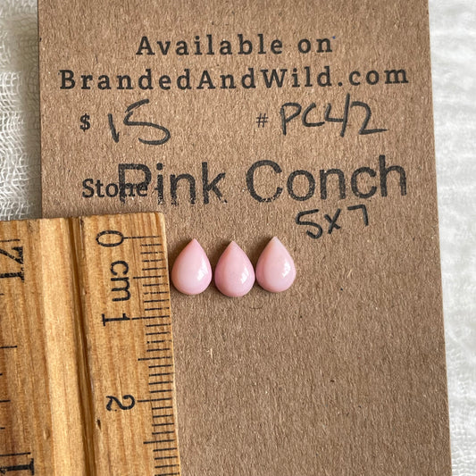 Pink Conch Cabochon - PC42