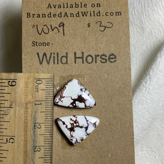 Wild Horse Cabochon - WH9 7819FC7F-2D72-43B6-ABFA-F4C521683D40 Brandedandwild.com