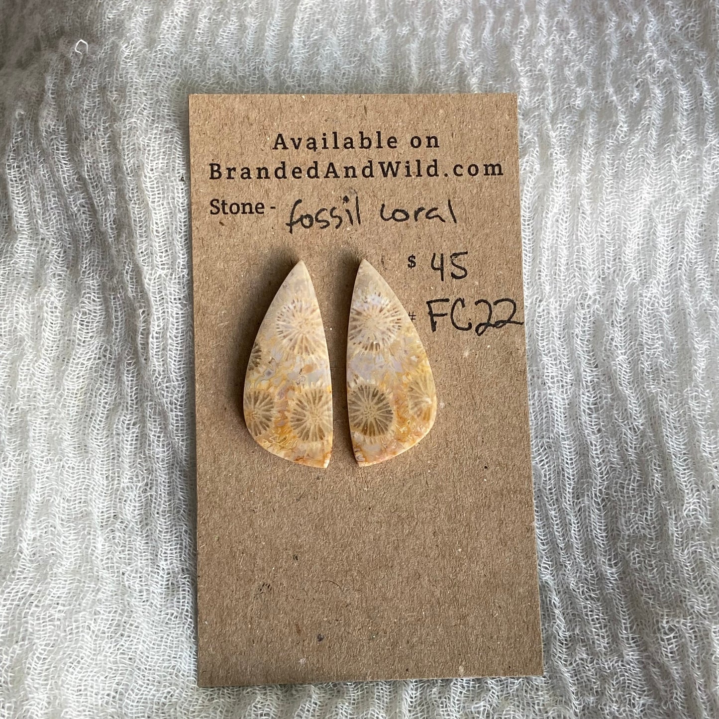 Fossil Coral Cabochon - FC22