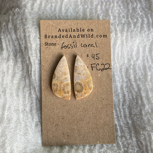 Fossil Coral Cabochon - FC22