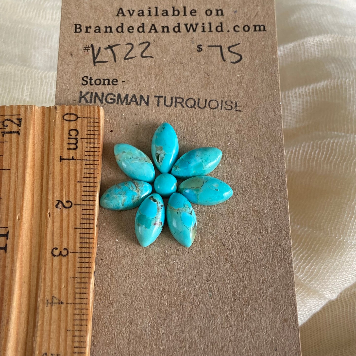 Kingman Turquoise Cabochon - KT22 784E2BD8-E136-4A97-AB32-7A66CEE1A647 Brandedandwild.com