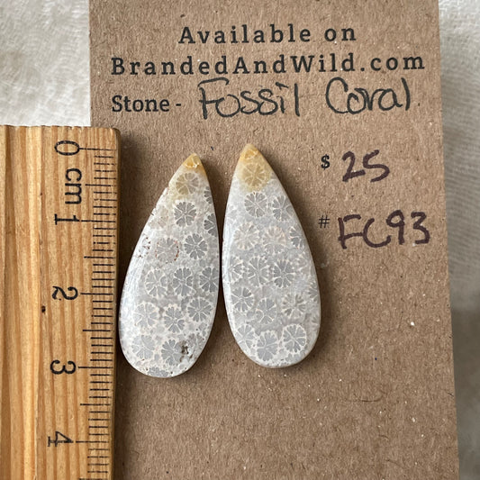 Fossil Coral Cabochon - FC93 78619736-D617-4632-A4D7-500B81AA023E Brandedandwild.com