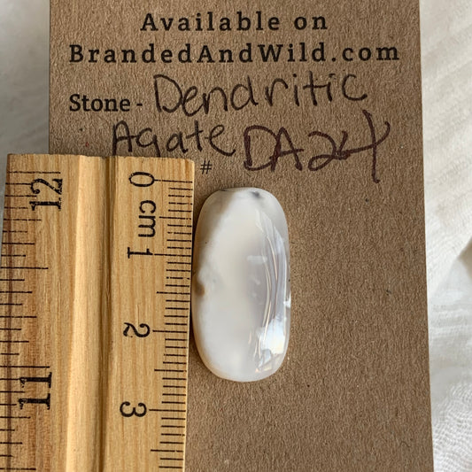 Dendritic Agate Cabochon - DA24
