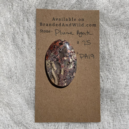 Plume Agate Cabochon - PA19