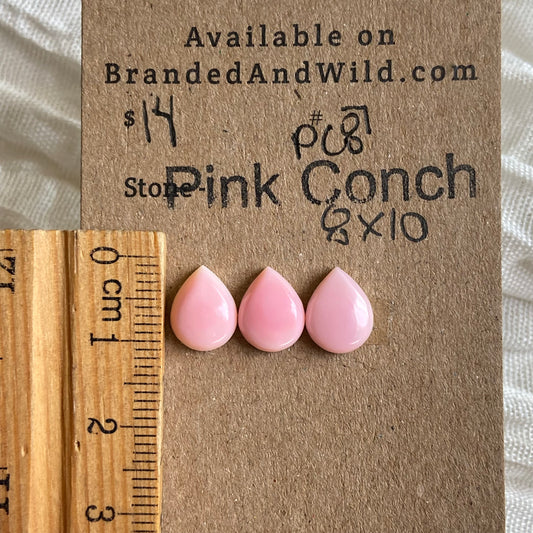 Pink Conch Cabochon - PC87 789D0590-42FA-4E7A-81F4-988836DEA78F Brandedandwild.com