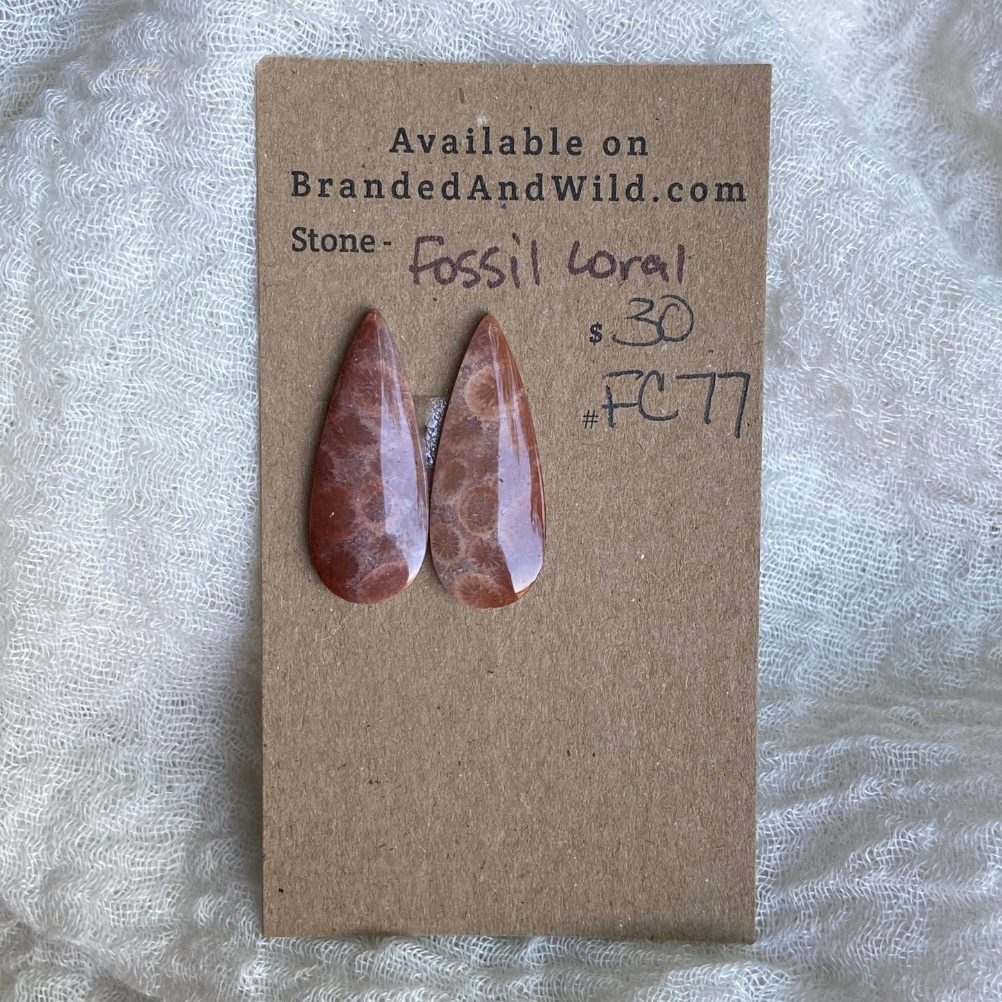 Fossil Coral Cabochon - FC77