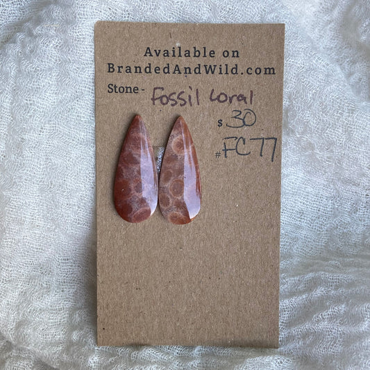Fossil Coral Cabochon - FC77