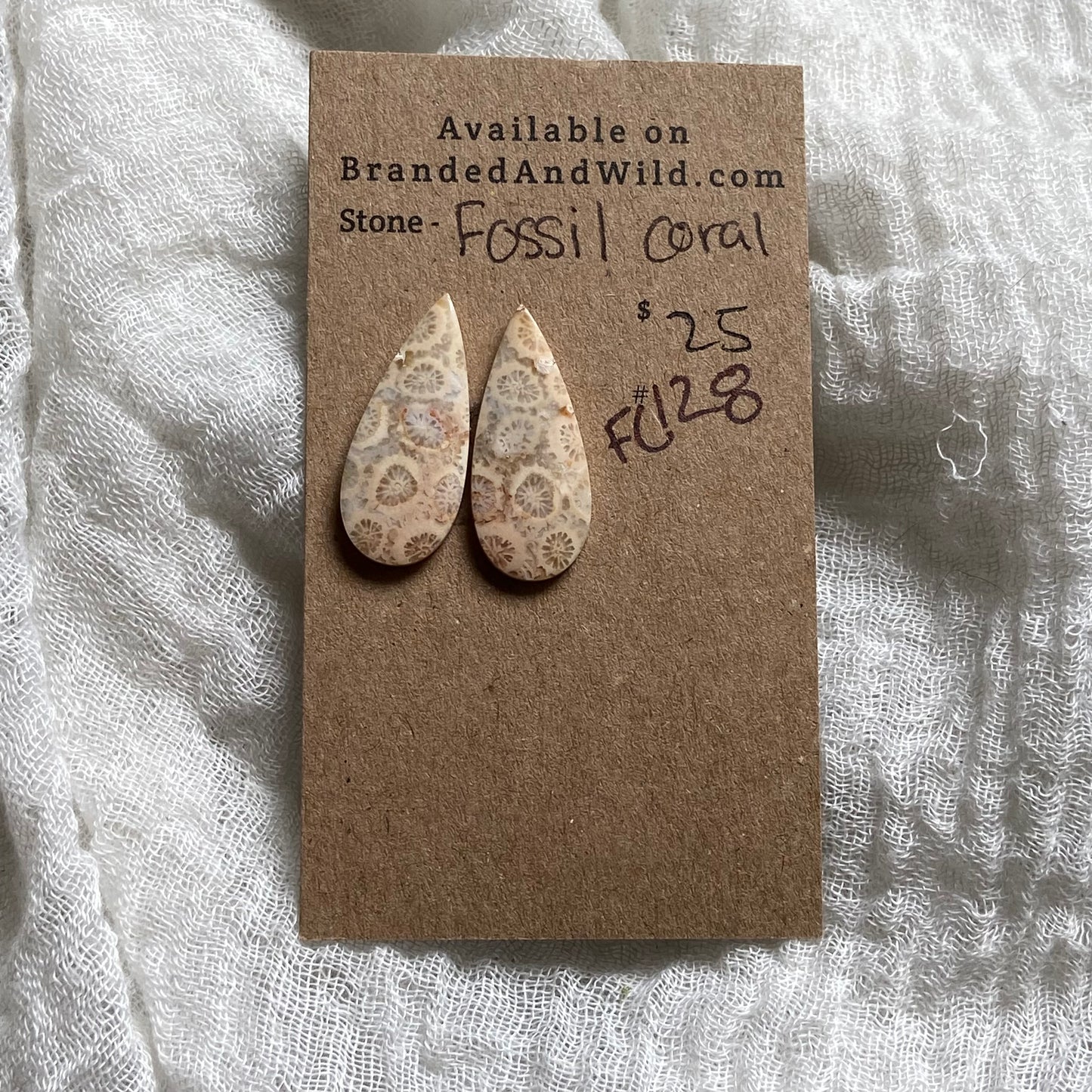 Fossil Coral Cabochon - FC128