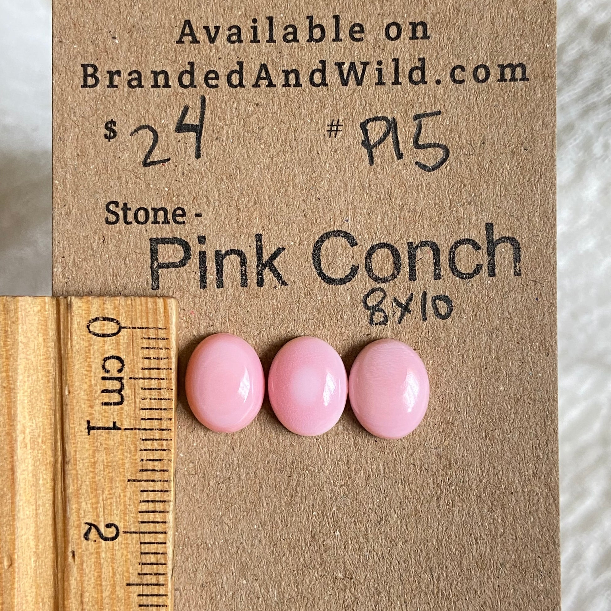 Pink Conch Cabochon - P15 78E5BF0E-1E6D-4474-8D95-5F752EF9885B Brandedandwild.com