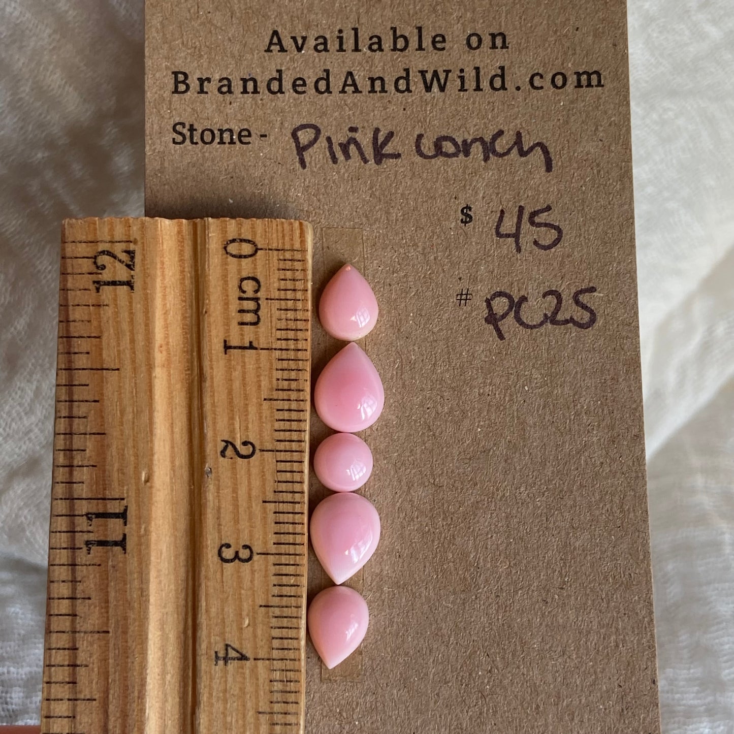 Pink Conch Cabochon - PC25