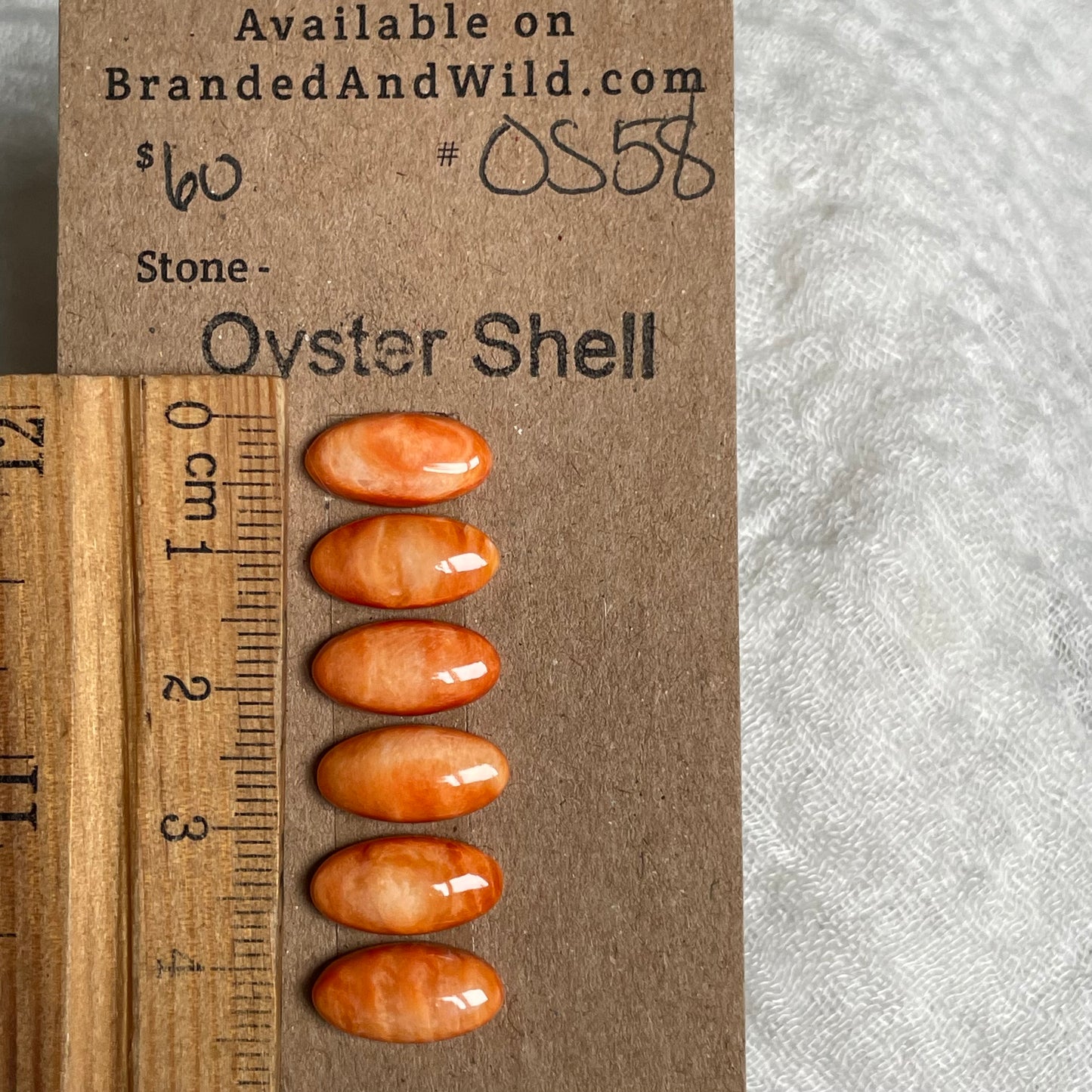 Oyster Shell Cabochon - OS58
