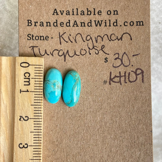 Kingman Turquoise Cabochon - ST109