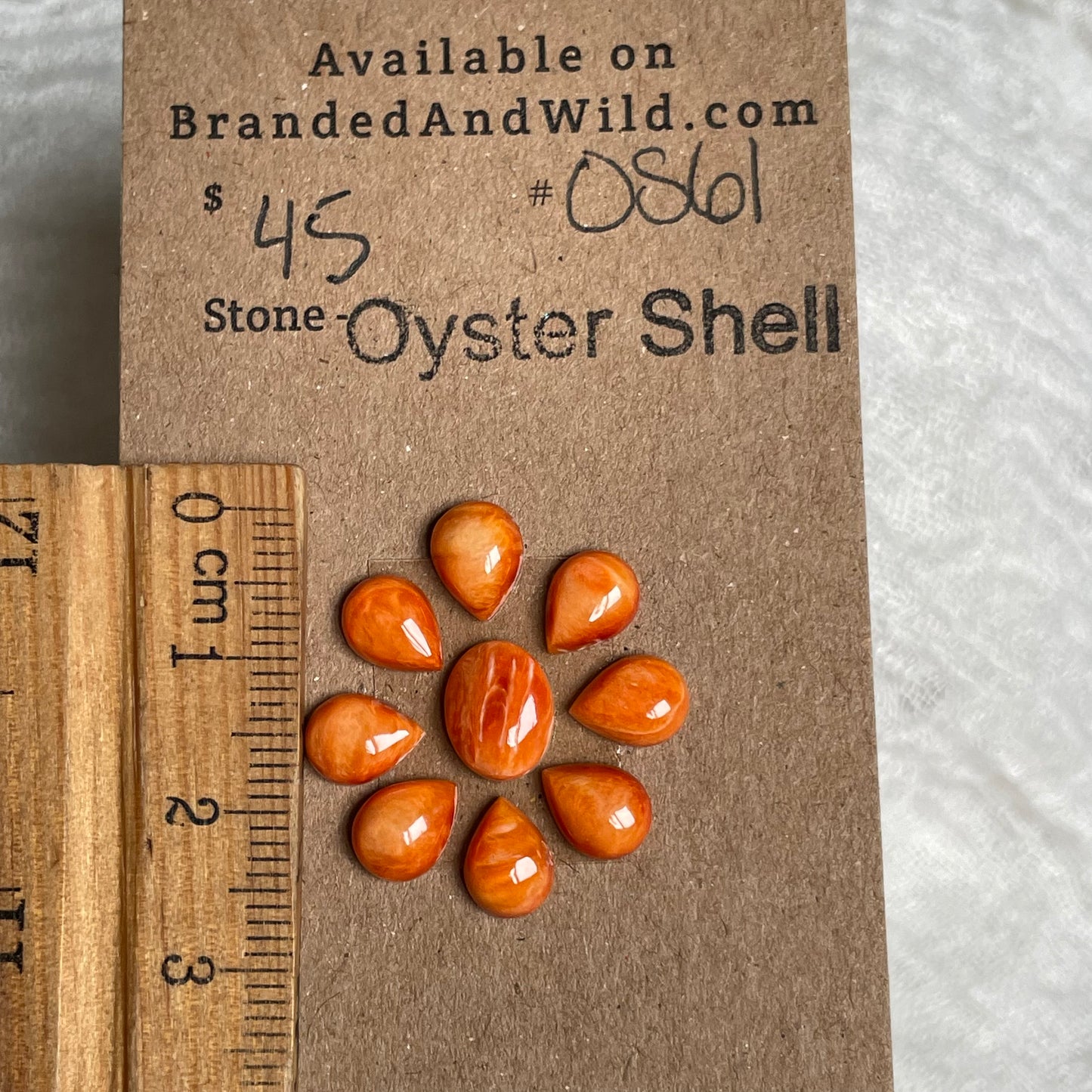 Oyster Shell Cabochon - OS61