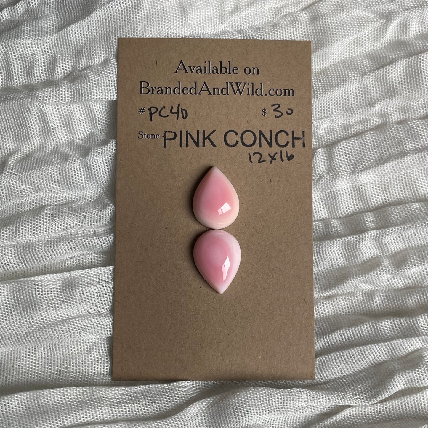 Pink Conch Cabochon - PC40 792B3BBA-C666-4297-BB2D-8824ADC5BB4F Brandedandwild.com