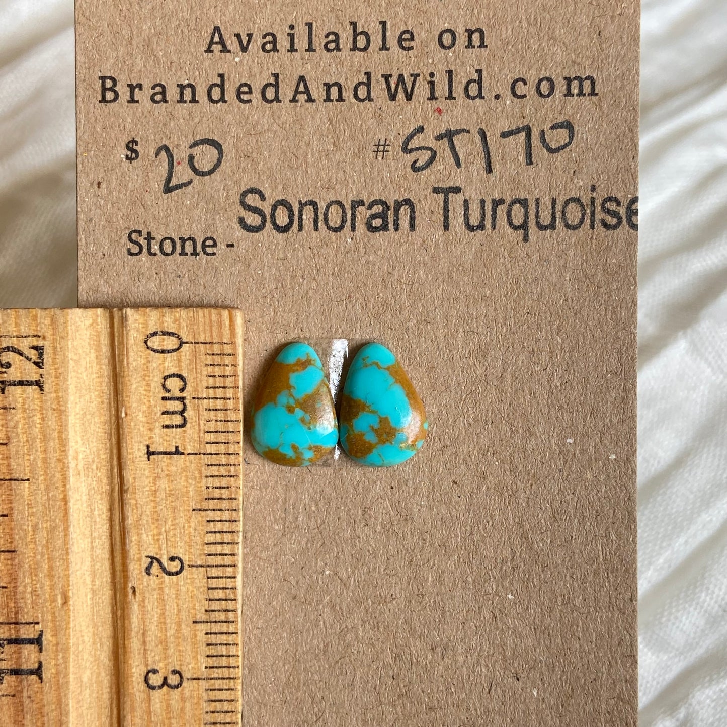 Sonoran Turquoise Cabochon - ST170 792B3CE7-EC6F-4345-95C0-99DAAA5A4866 Brandedandwild.com