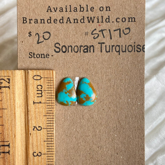 Sonoran Turquoise Cabochon - ST170 792B3CE7-EC6F-4345-95C0-99DAAA5A4866 Brandedandwild.com