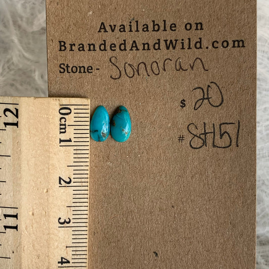 Sonoran Turquoise Cabochon - ST151