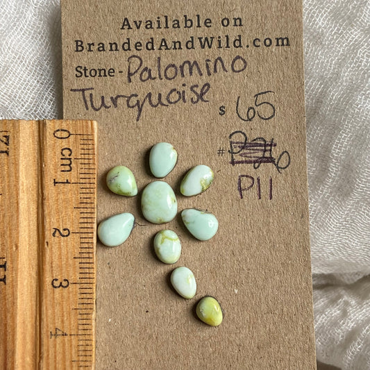Palomino Cabochon - P11 795FEE22-048F-49BE-8182-AF7CD76ECDE9 Brandedandwild.com