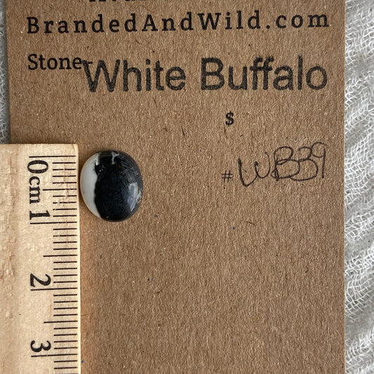 White Buffalo Cabochon - WB39