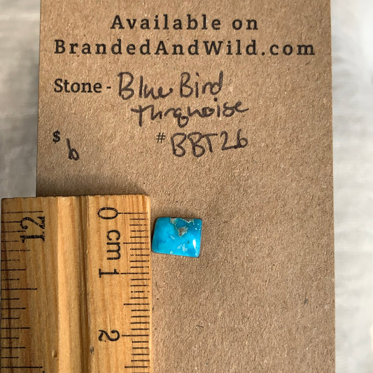 Blue Bird Turquoise Cabochon - BBT26
