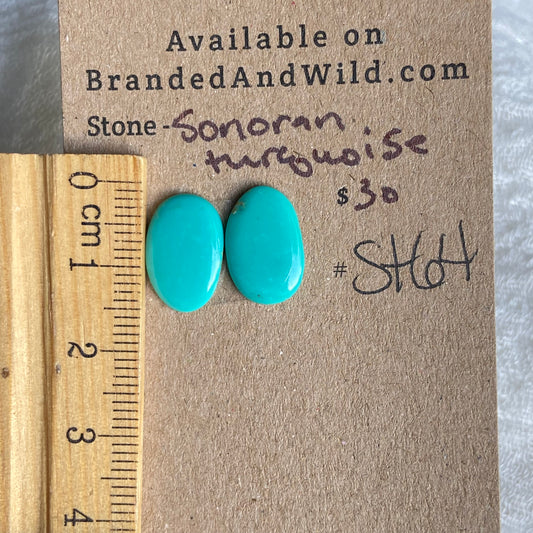 Sonoran Turquoise Cabochon - ST64