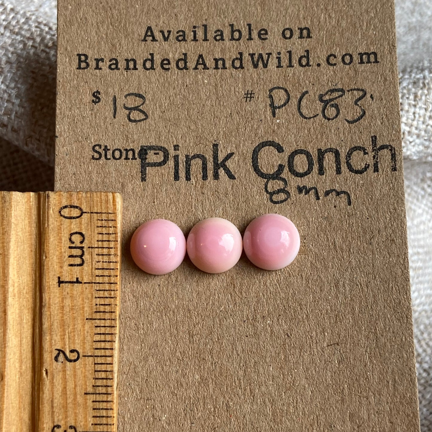 Pink Conch Cabochon - PC08 7A562D17-2388-4993-BB46-D2E2A1791847 Brandedandwild.com