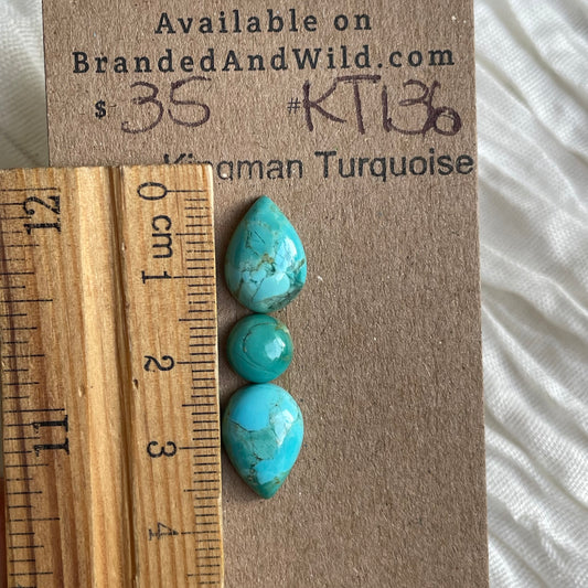 Kingman Turquoise Cabochon - KT136 7A85A11F-CB81-4AE7-A21D-7E7DD123CC7C Brandedandwild.com