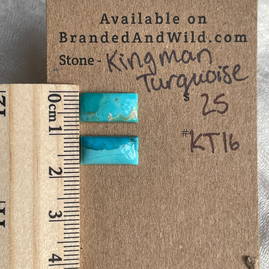 Kingman Turquoise Cabochon - KT16