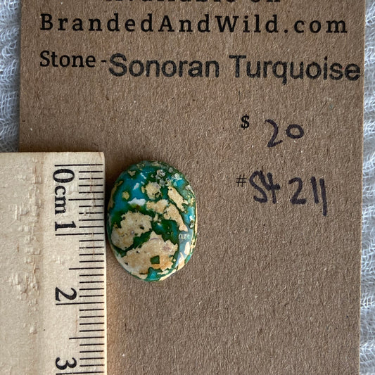 Sonoran Turquoise Cabochon - ST211