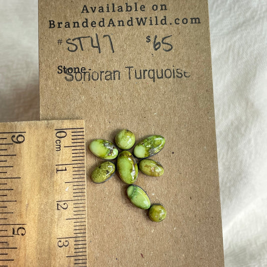 Sonoran Turquoise Cabochon - ST47 7AD7BB3F-F36A-4F85-9EC3-2278751FCB69 Brandedandwild.com