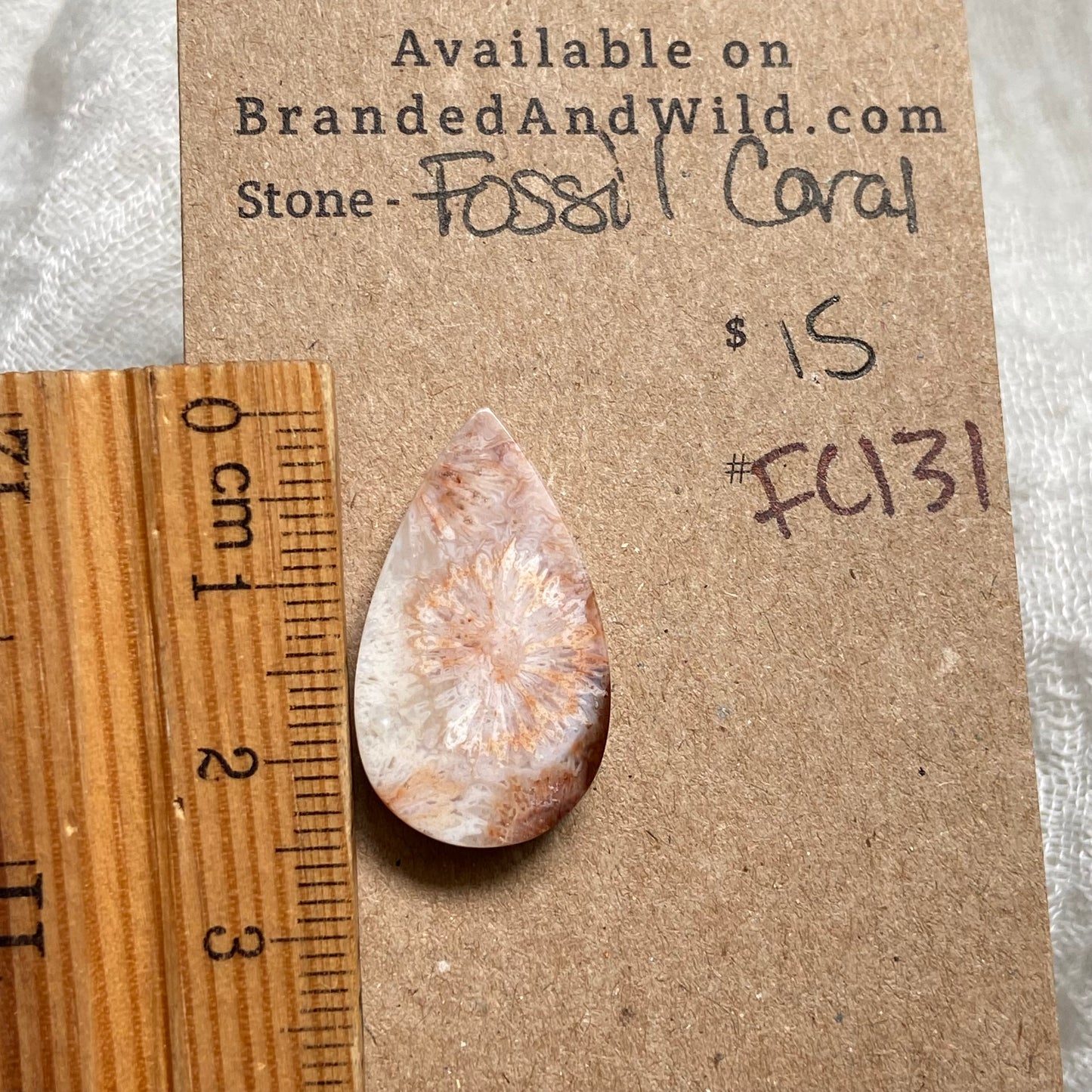 Fossil Coral Cabochon - FC131