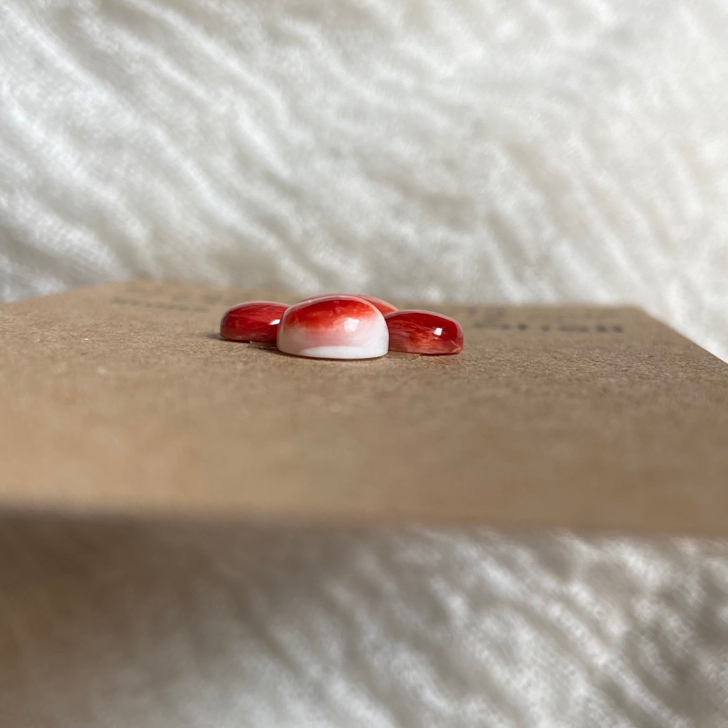 Oyster Shell Cabochon - OS69