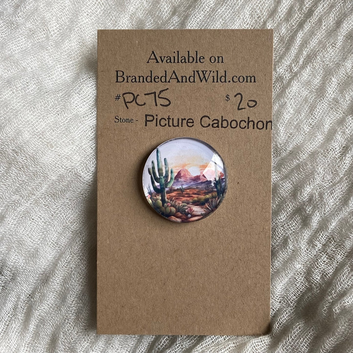 Picture Cabochon - Cabochon - PC75 7B6C3048-3E8D-4315-B26B-B82D92A807DB Brandedandwild.com