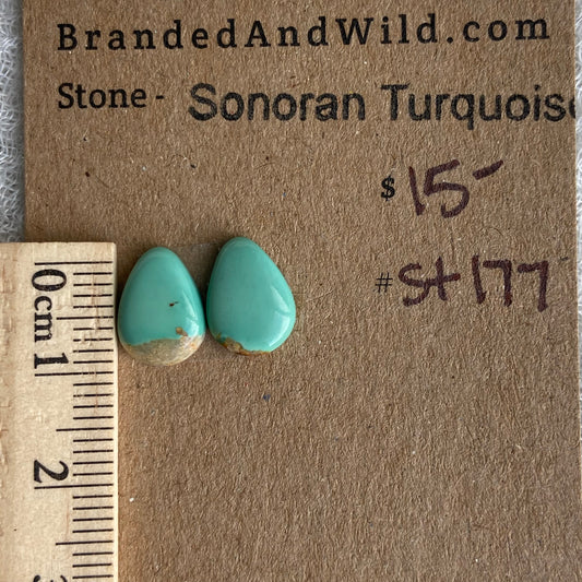Sonoran Turquoise Cabochon - ST177