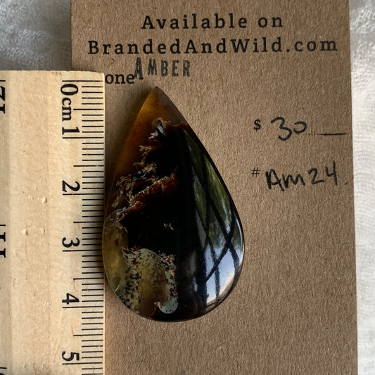 Amber Cabochon AM24