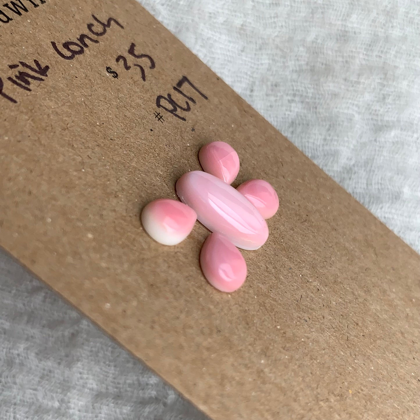 Pink Conch Cabochon - PC17