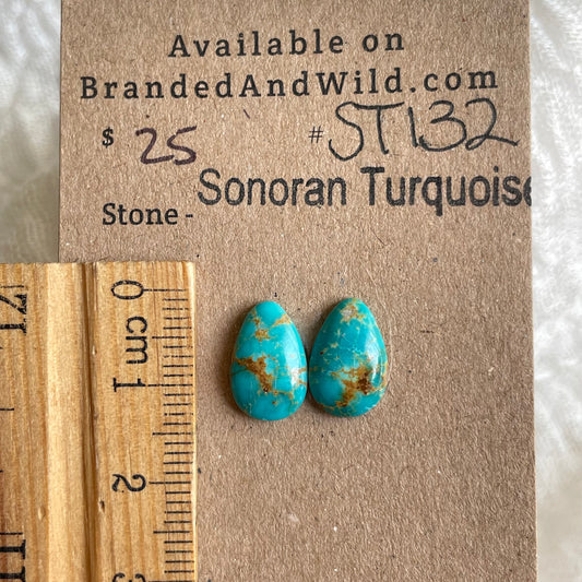 Sonoran Turquoise Cabochon - ST132 7BF15A37-B238-472D-BBDF-77318F782C28 Brandedandwild.com