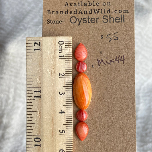 Oystershell Cabochon - MIX44