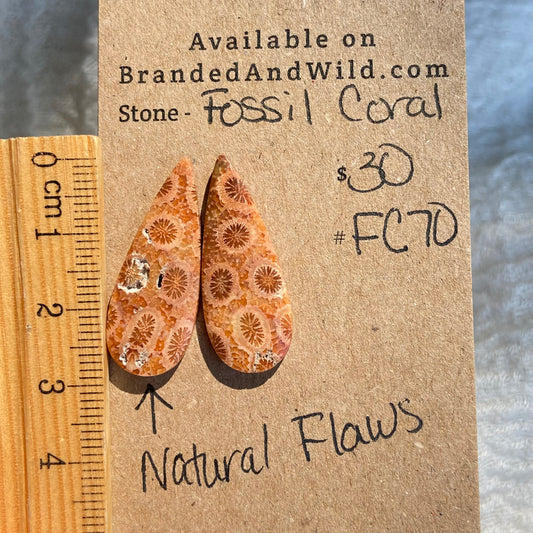 Fossil Coral Cabochon - FC70