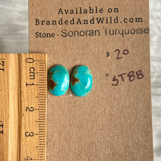 Sonoran Turquoise Cabochon - ST88 7C346FB5-98B5-4AA5-B9EC-983C0DE1FF13 Brandedandwild.com