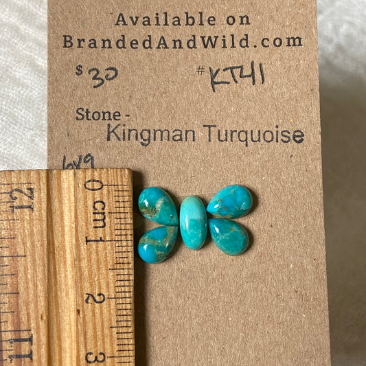 Kingman Turquoise Cabochon - KT41 7C3DC273-2A90-434A-877D-ABF596948EF3 Brandedandwild.com