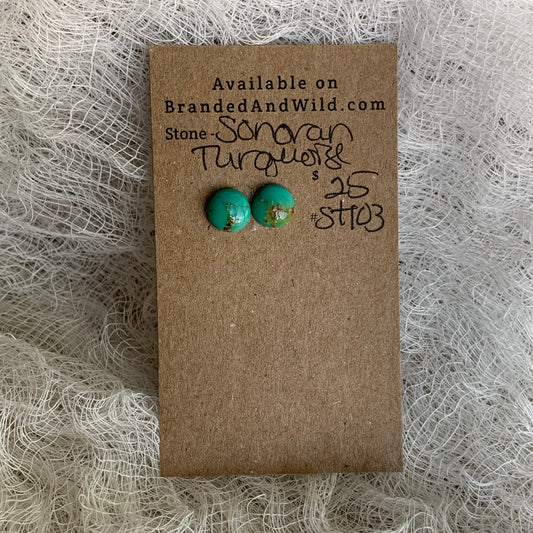 Sonoran Turquoise Cabochon - ST103