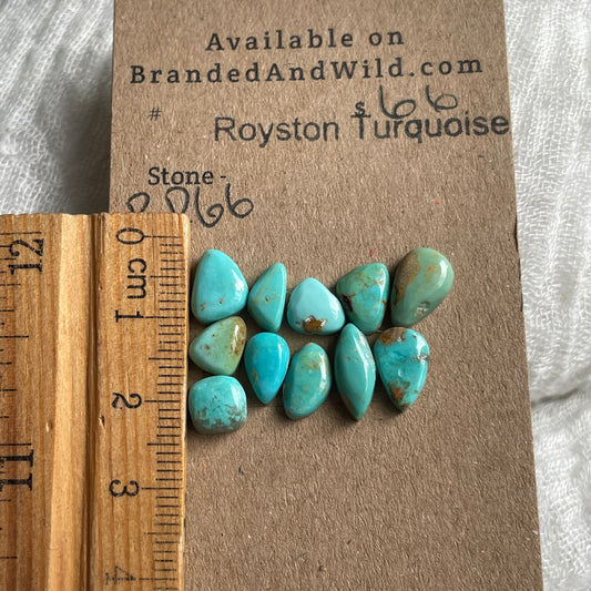 Royston Turquoise Cabochon - RR66 7CCACE0F-E7CB-4B2C-8FE8-E3DEC46523CE Brandedandwild.com