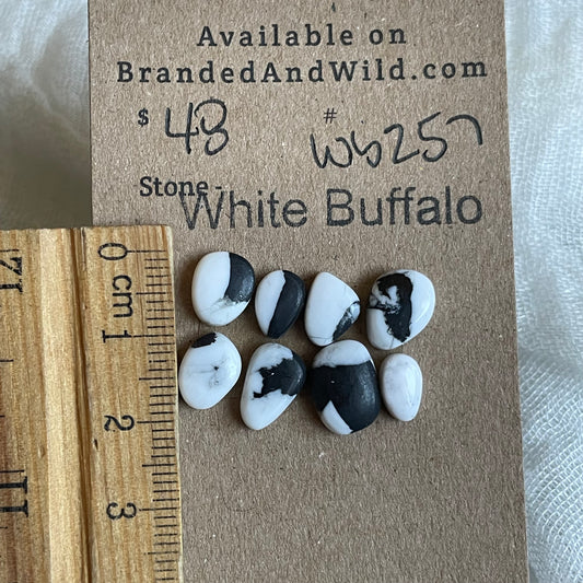 White Buffalo Cabochon - WB257