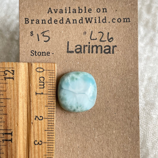 Larimar Cabochon - L26 7CD442A3-6F79-497E-824D-C30102F2713C Brandedandwild.com