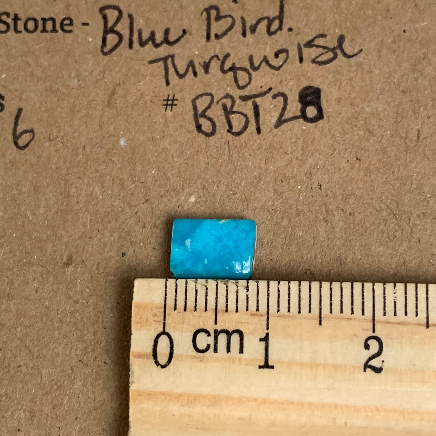 Blue Bird Turquoise Cabochon - BBT28