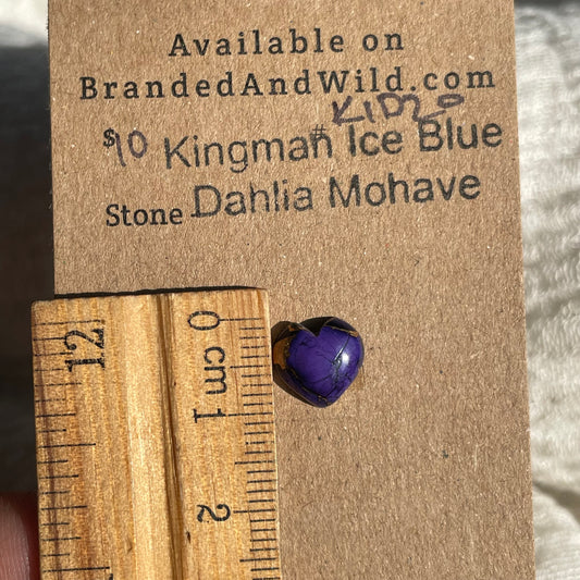 Kingman Ice Blue Dahlia Mohave - KID20 7CF80CEC-05DB-4B88-B596-AC8E45AEA1B2 Brandedandwild.com