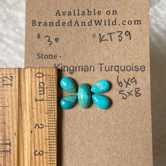 Kingman Turquoise Cabochon - KT39 7D008F82-332D-440A-BB36-1B3BA473083A Brandedandwild.com