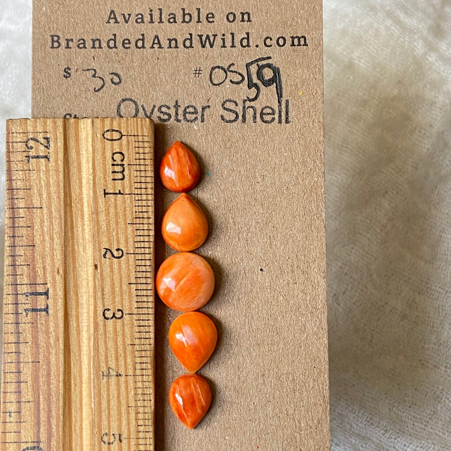 Oystershell Cabochon - OS59 7D031A3B-D340-4486-8491-30F38E1B904B Brandedandwild.com