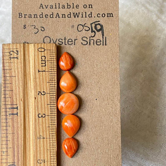 Oystershell Cabochon - OS59 7D031A3B-D340-4486-8491-30F38E1B904B Brandedandwild.com